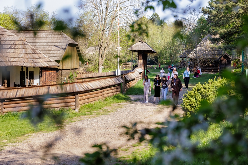 IMG_9644
